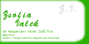 zsofia valek business card